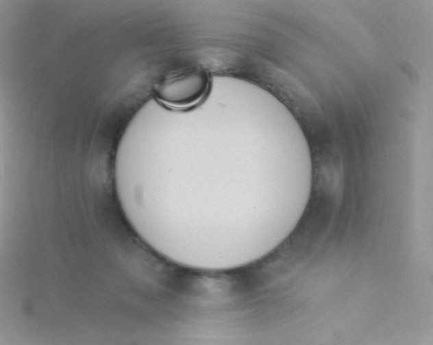 X0000115330317200911231417