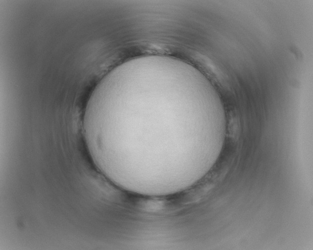 X0000115330318200911231417