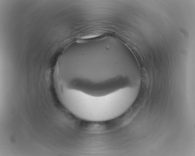 X0000115330319200911231417