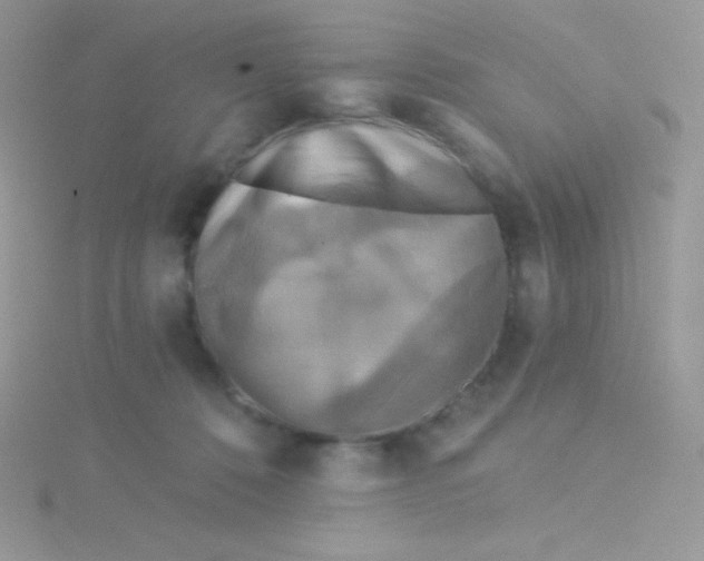 X0000115330320200911231417