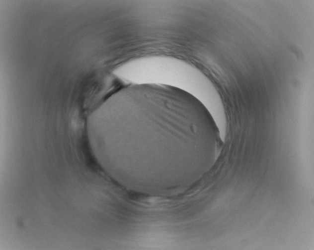 X0000115330324200911231417