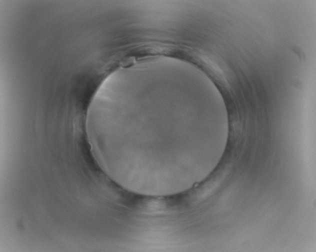 X0000115330325200911231417