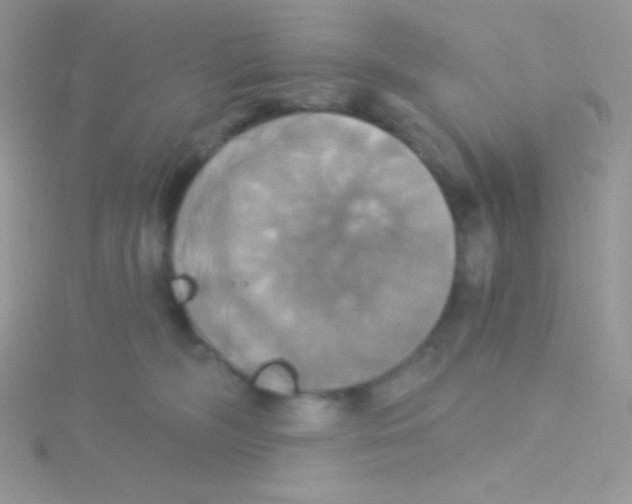 X0000115330326200911231417