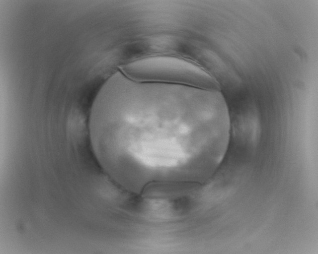 X0000115330327200911231417