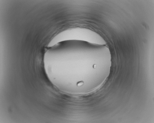 X0000115330328200911231417