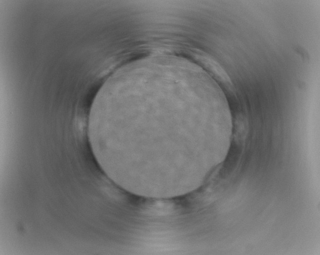 X0000115330329200911231417