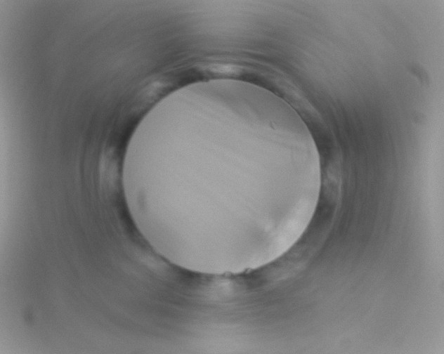 X0000115330330200911231417