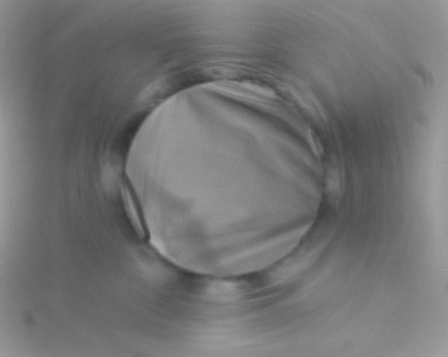 X0000115330332200911231417