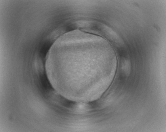 X0000115330333200911231417