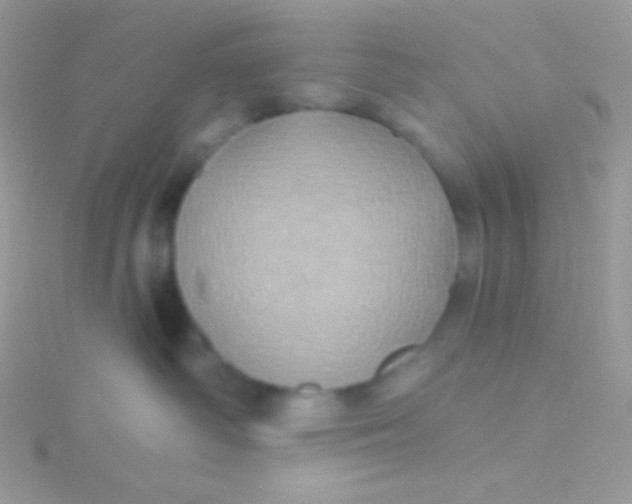 X0000115330334200911231417