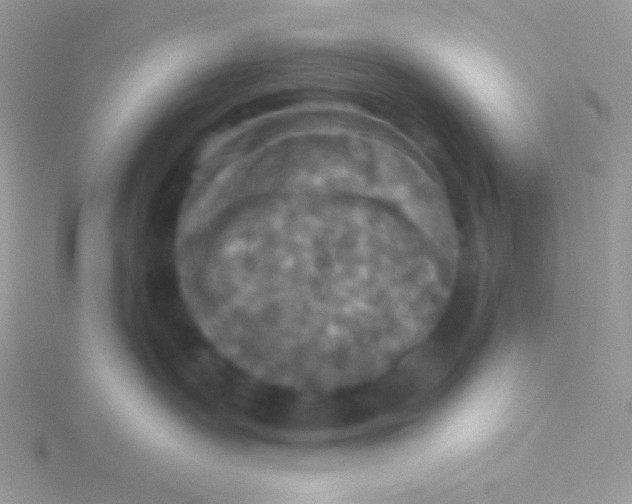 X0000115330335200911231417