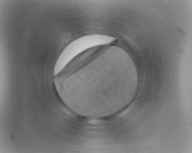 X0000115330336200911231417