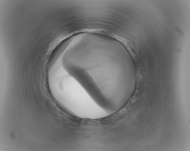 X0000115330337200911231416