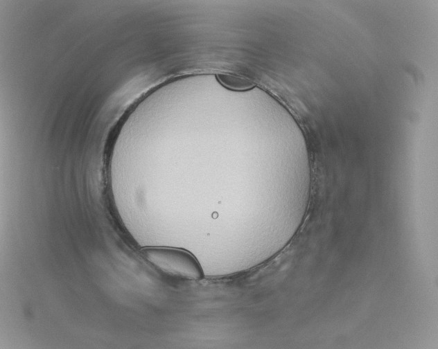 X0000115330338200911231416