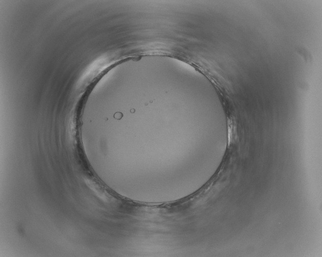 X0000115330339200911231416