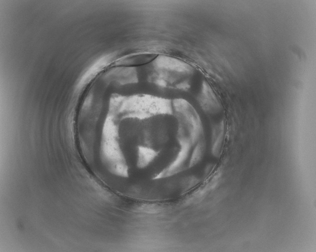 X0000115330341200911231416