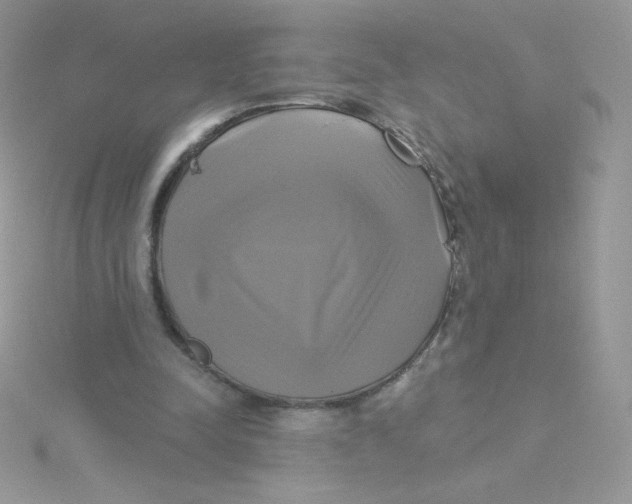 X0000115330342200911231416