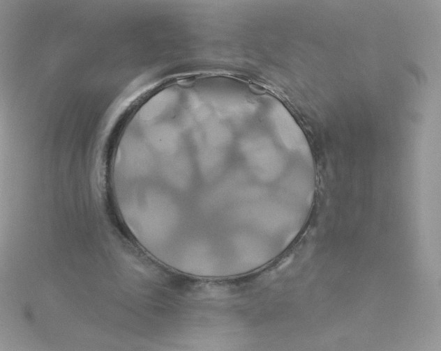 X0000115330343200911231416