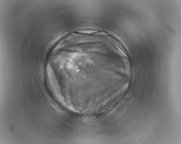 X0000115330345200911231416