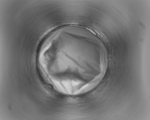 X0000115330346200911231416