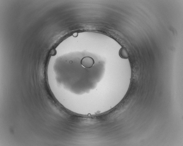 X0000115330347200911231416