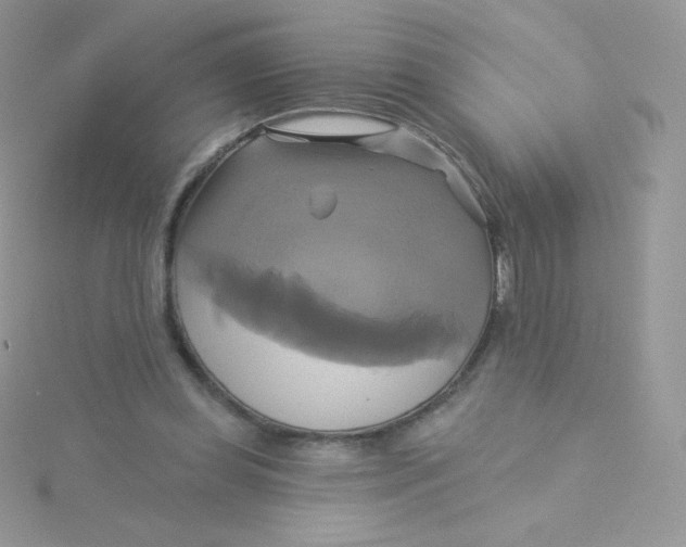 X0000115330349200911231416