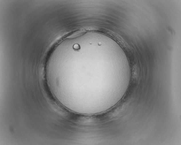 X0000115330351200911231416