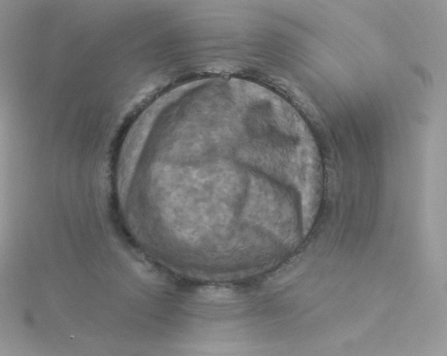 X0000115330354200911231416