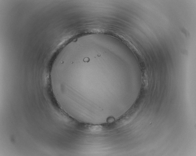 X0000115330355200911231416