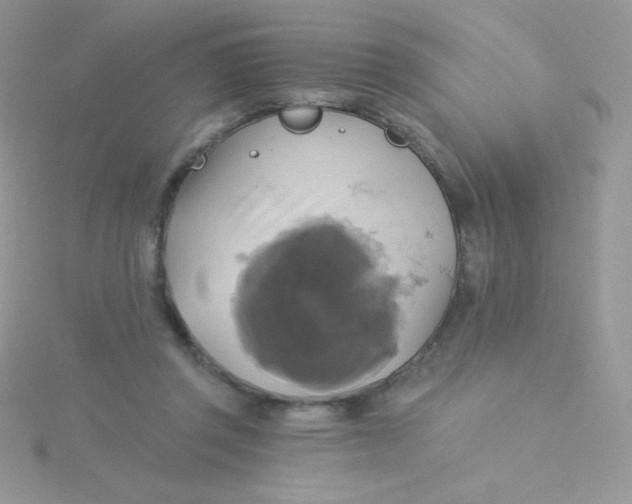 X0000115330357200911231416