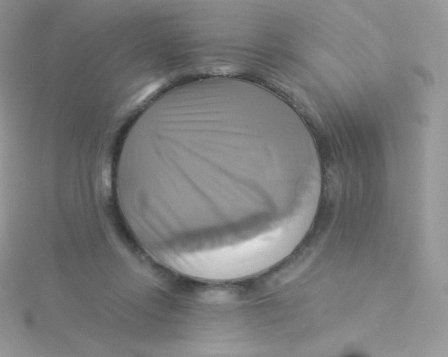 X0000115330358200911231417