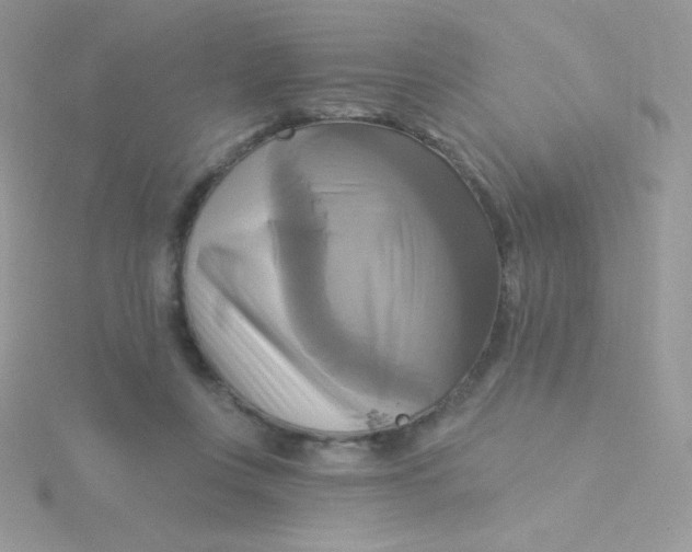 X0000115330359200911231417