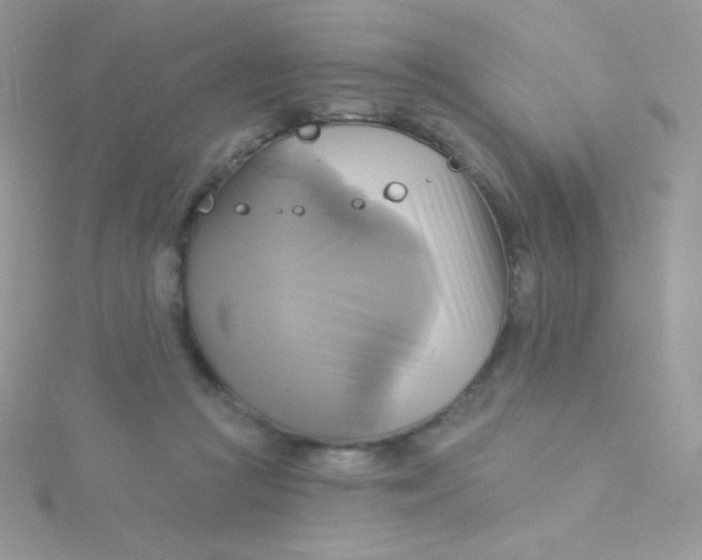 X0000115330361200911231417