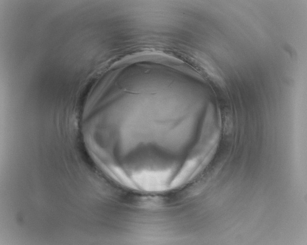 X0000115330363200911231417