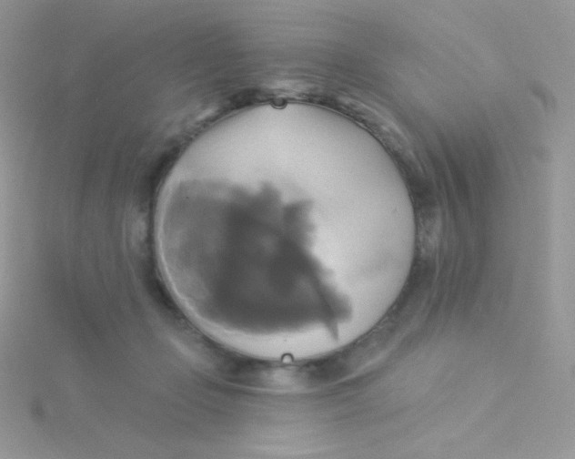 X0000115330365200911231417