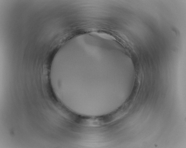 X0000115330366200911231417