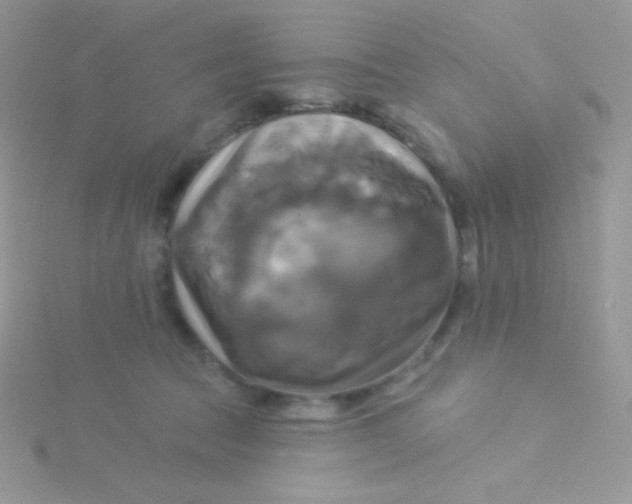 X0000115330369200911231417