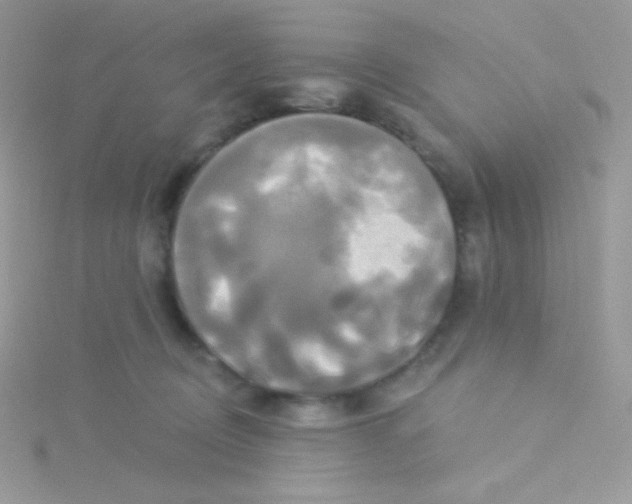 X0000115330370200911231417