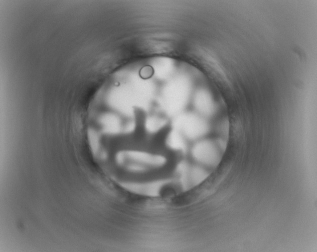 X0000115330373200911231417