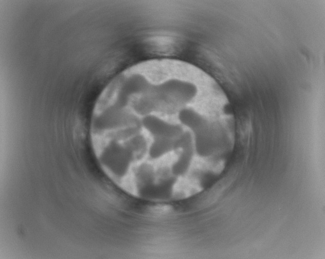 X0000115330374200911231417