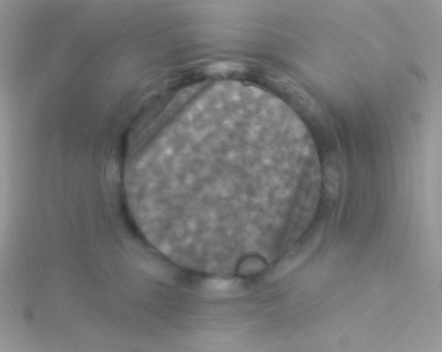 X0000115330375200911231417