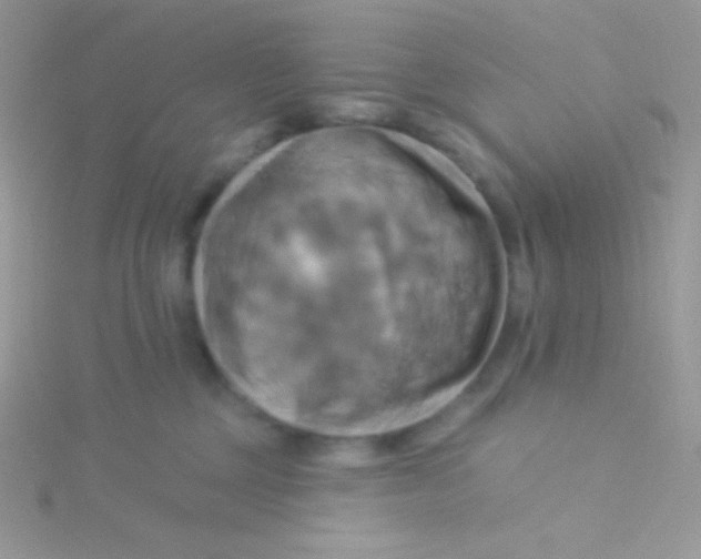 X0000115330377200911231417