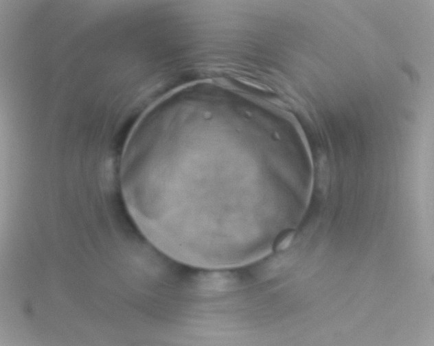 X0000115330378200911231417