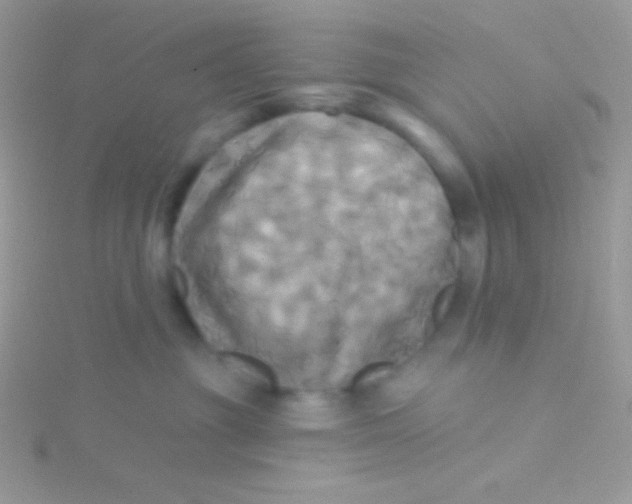 X0000115330381200911231417