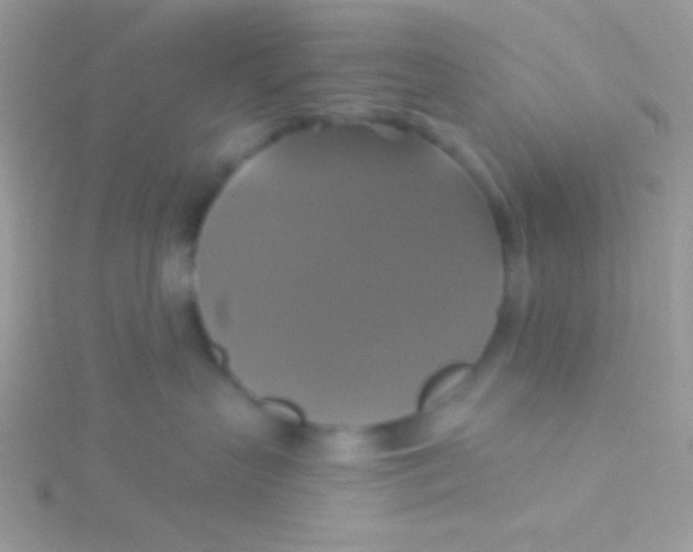 X0000115330383200911231417