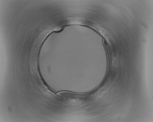 X0000115330385200911231416