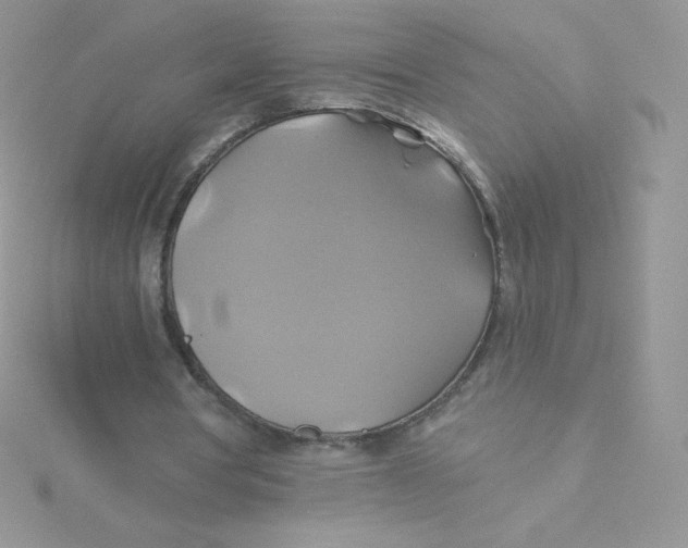 X0000115330386200911231416