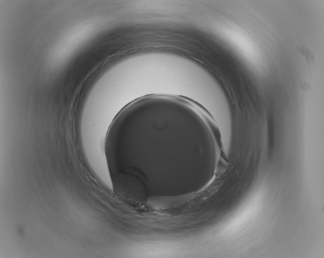 X0000115330387200911231416