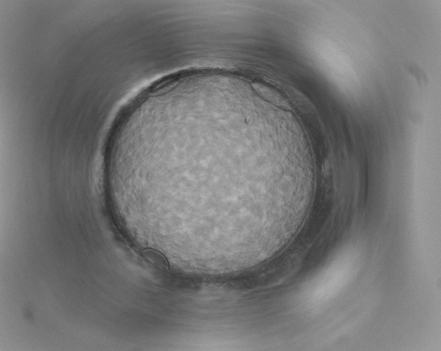 X0000115330388200911231416