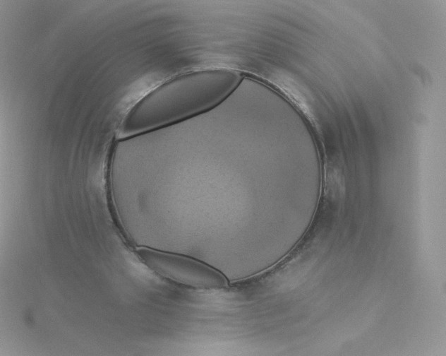 X0000115330389200911231416